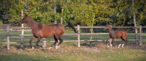 stazeny-soubor--1-.jpg