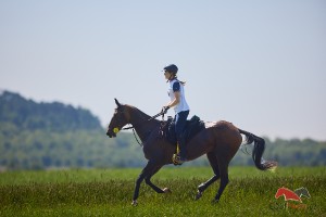hostka-8.6.24--40-km.jpg