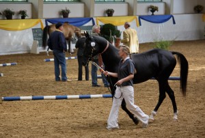 img_9087.jpg