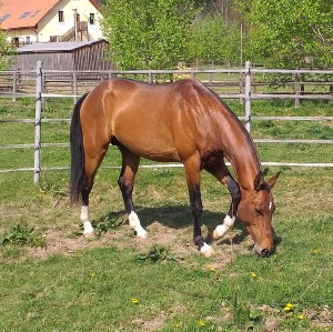 20190425_150315.jpg